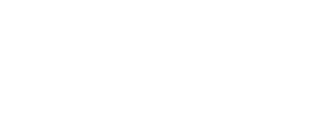 Spectrum News 1 logo white