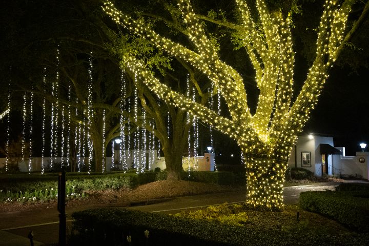Commercial Christmas Light Installation Service Company in Wilmington NC 17
