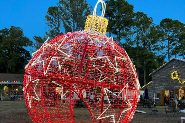 Commercial Christmas Light Installation Service Company in Wilmington NC 22