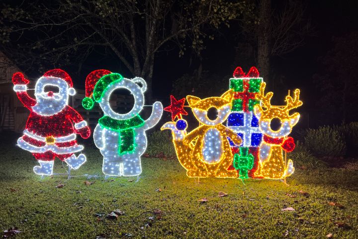 Holiday Lights Installers Near Me Leland NC