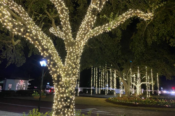 Commercial Christmas Light Installation Service Company in Wilmington NC 8